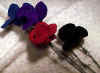 roses2.jpg (30103 bytes)